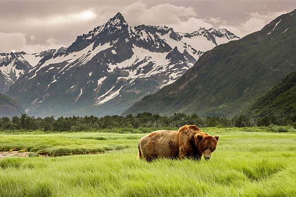Alaska