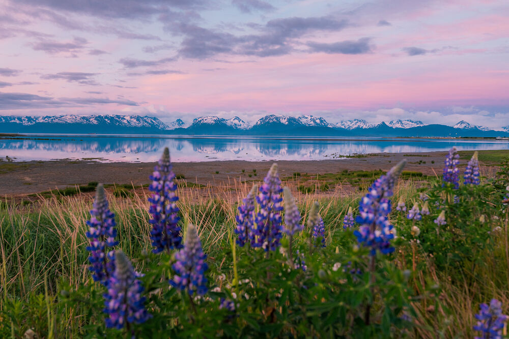 Alaska's Glaciers & Coast Multi-Adventure Tour — Backroads
