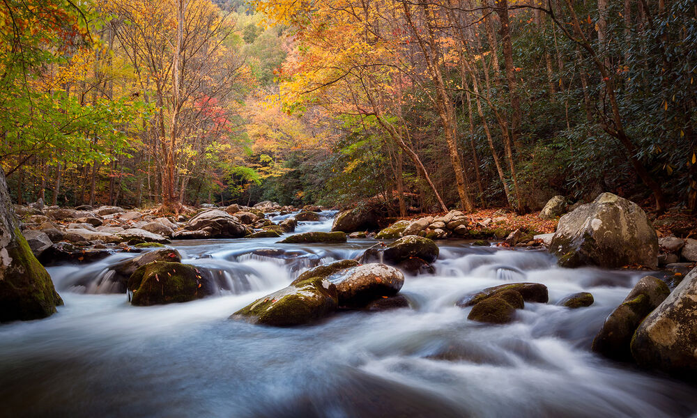 Blue Ridge & Great Smoky Mountains Hiking & Walking Tour — Backroads