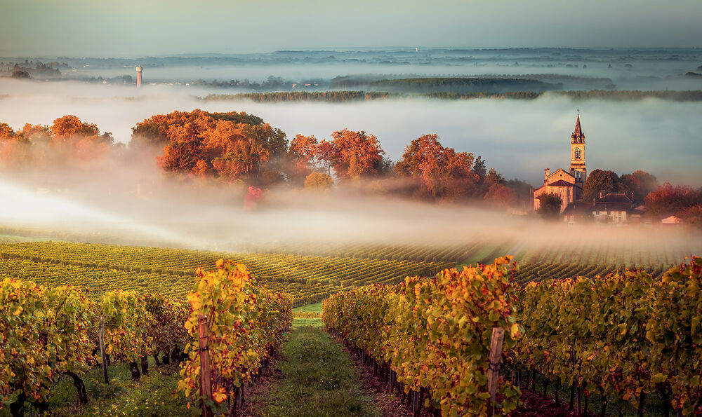 Bordeaux & Dordogne Bike Tour — Backroads