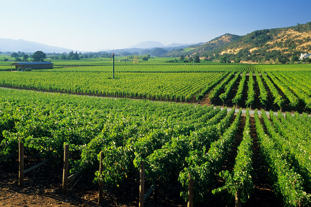 California Wine Country Easygoing E-bike Tour — Backroads