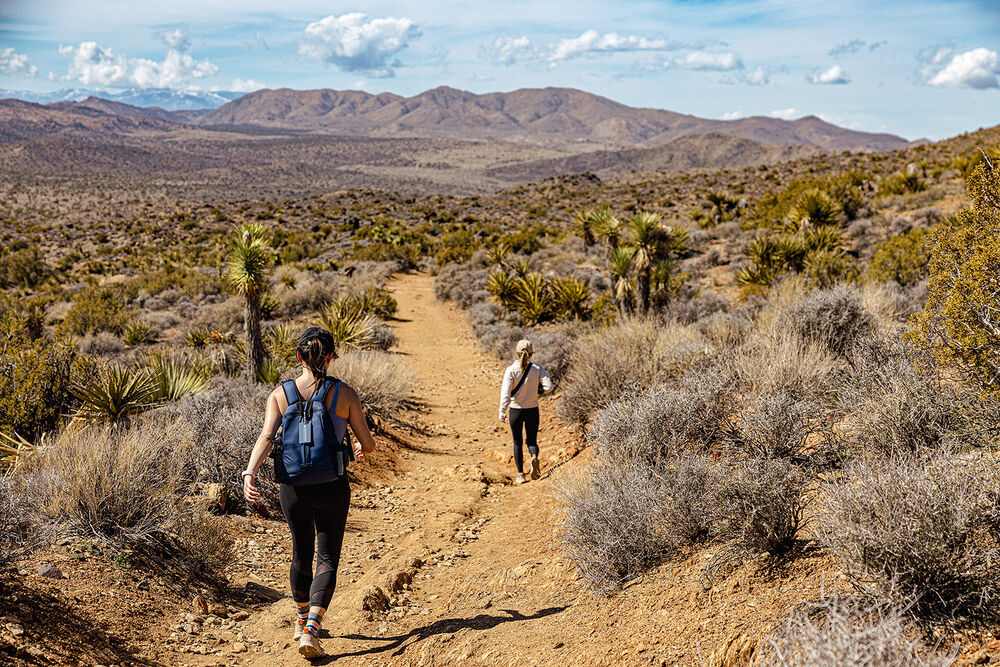 California's Palm Springs & Joshua Tree Women's Hiking & Walking Tour - 4-Day Getaway — Backroads