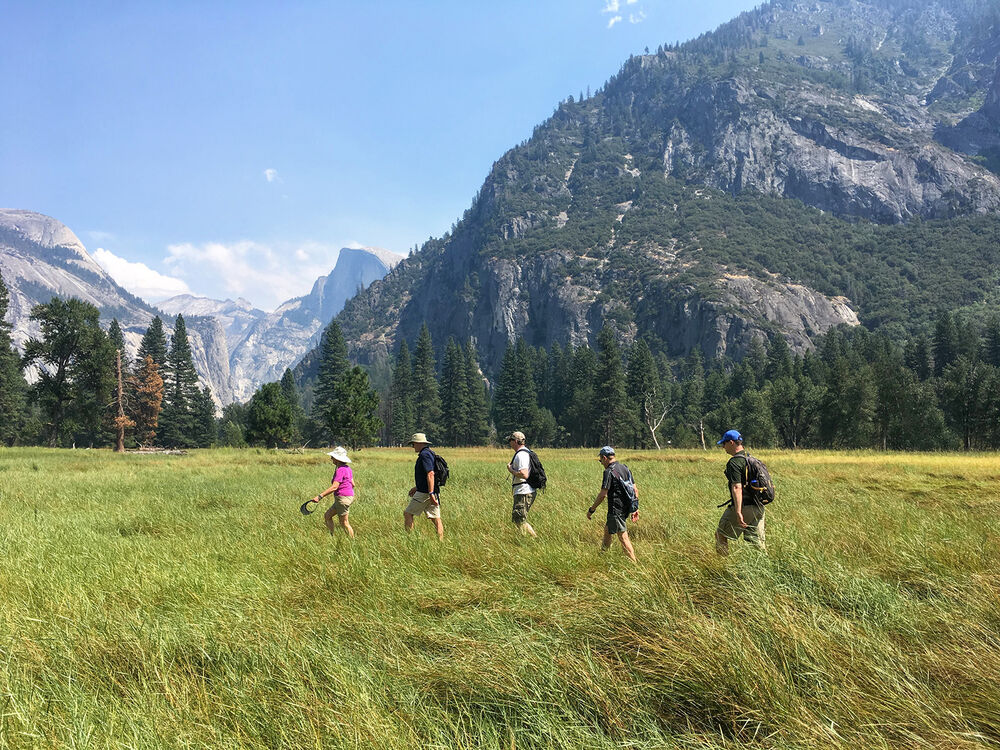 Yosemite Easygoing Walking Tour — Backroads