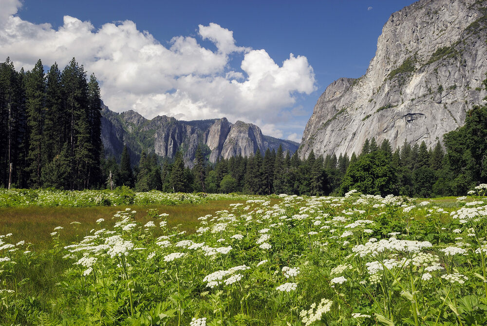 Yosemite Valley Women's Hiking & Walking Tour — Backroads