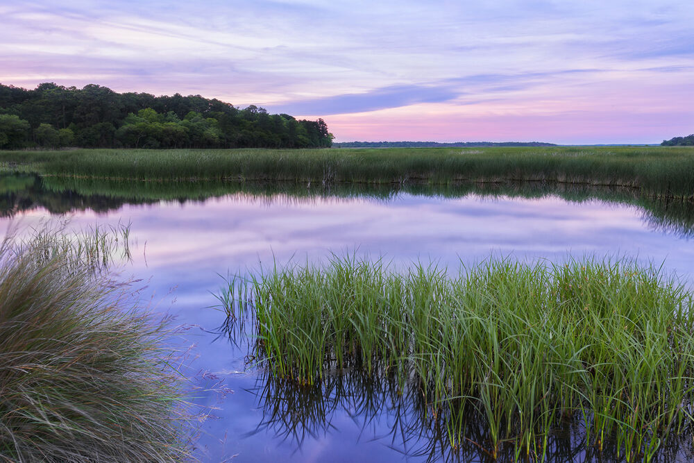 Charleston & Savannah Easygoing Multi-Adventure Tour — Backroads