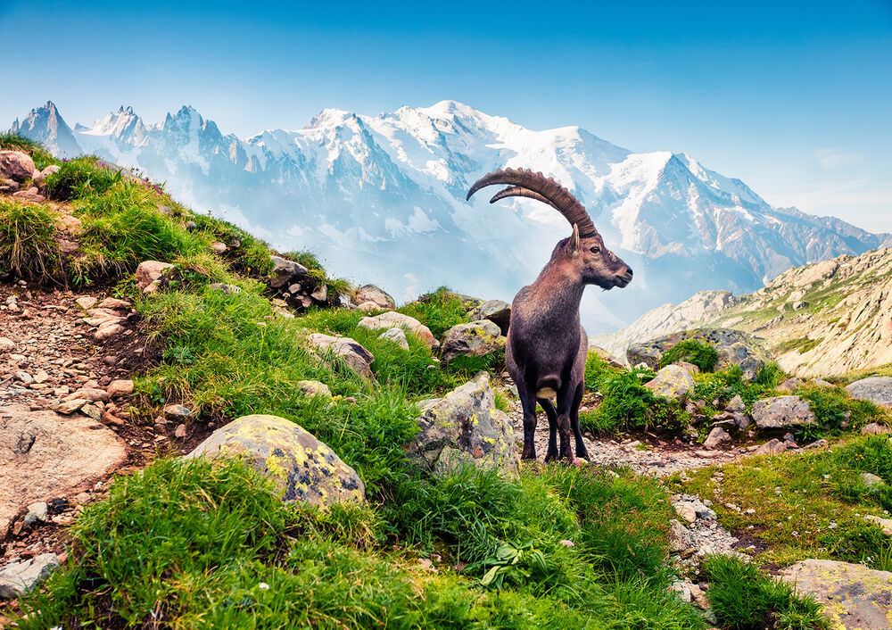 French, Italian & Swiss Alps Family Multi-Adventure Tour — Backroads