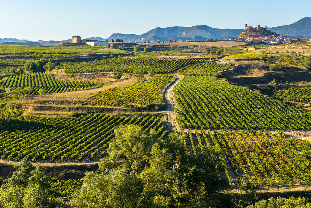French Pyrenees to Basque Country Women's Hiking & Walking Tour — Backroads