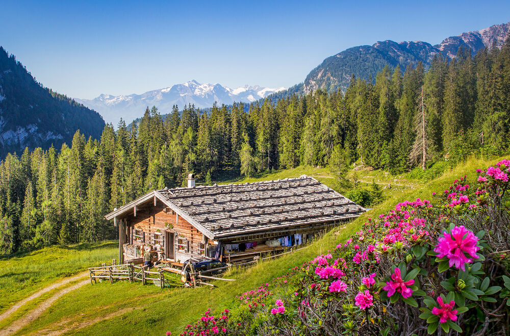 German & Austrian Alps Easygoing Women's Walking Tour — Backroads
