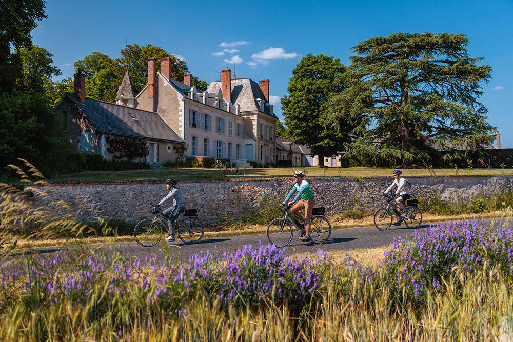Loire Valley Family Bike Tour — Backroads