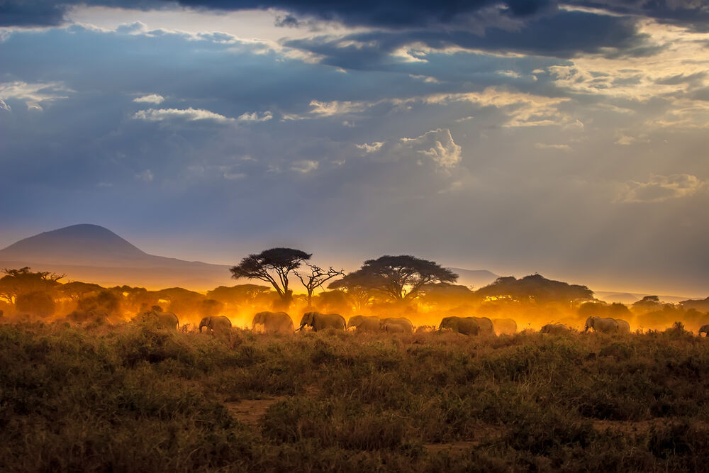 Namibia, Botswana & Zambia Active Safari Tour — Backroads
