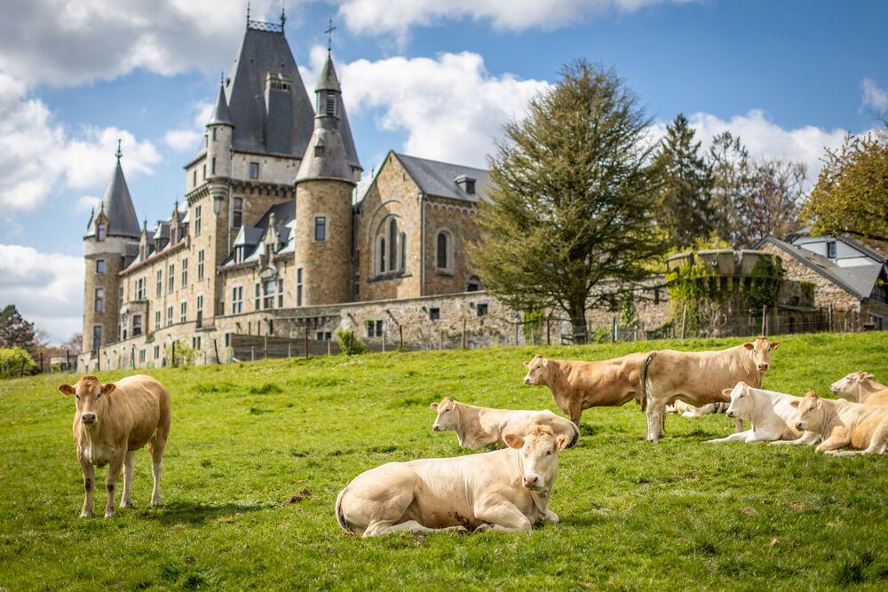 Netherlands & Belgium Easygoing Walking Tour — Backroads