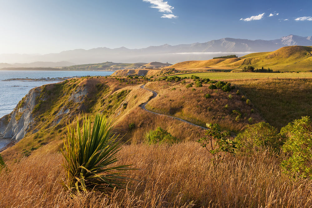 New Zealand South Island Easygoing Walking Tour — Backroads