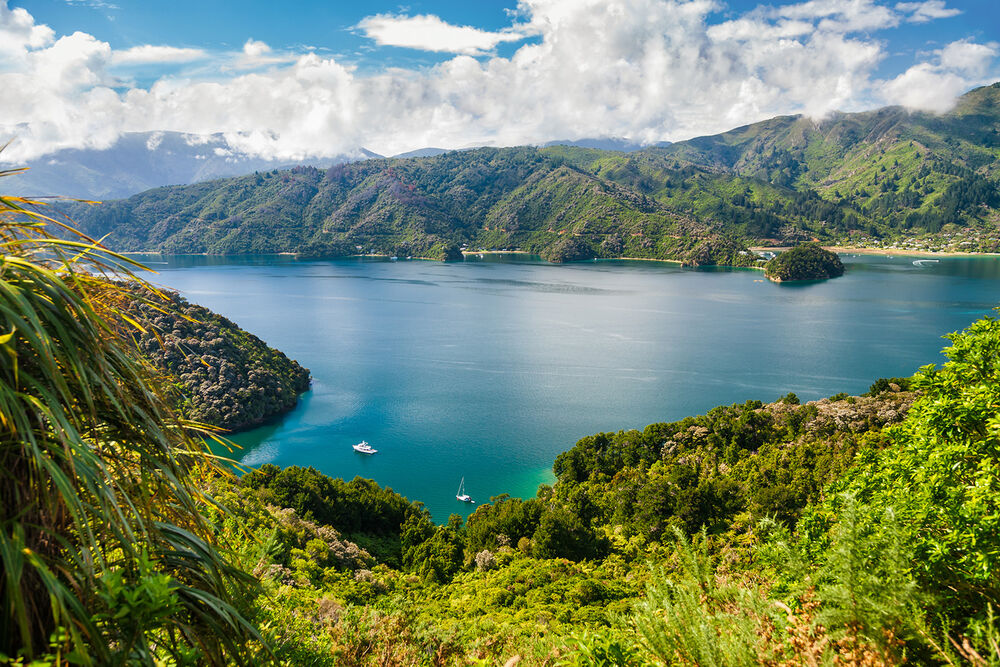 New Zealand South Island Women's Hiking & Walking Tour — Backroads