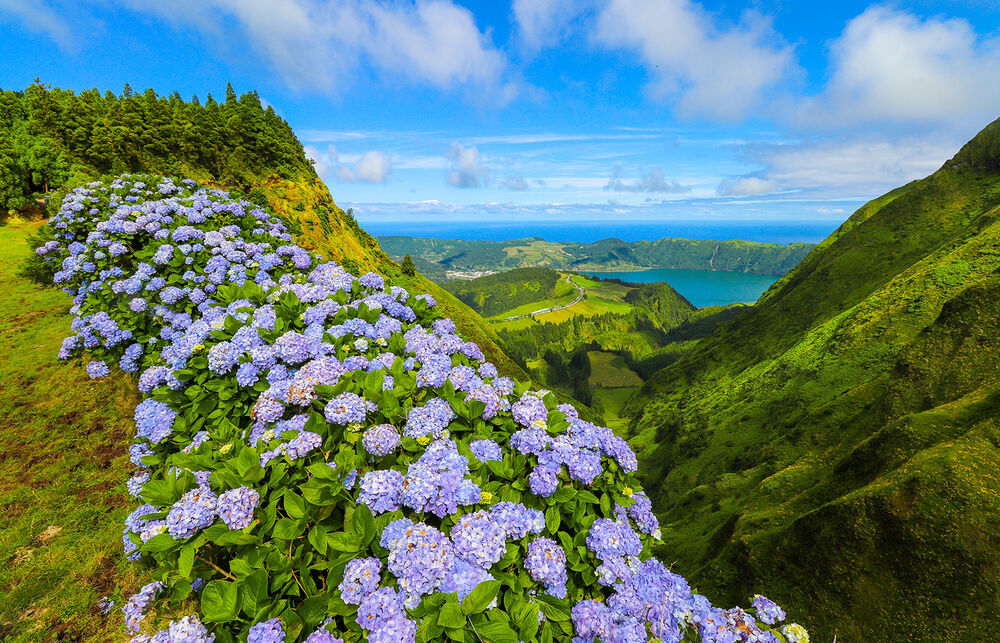 Portugal's Azores Multi-Adventure Tour — Backroads