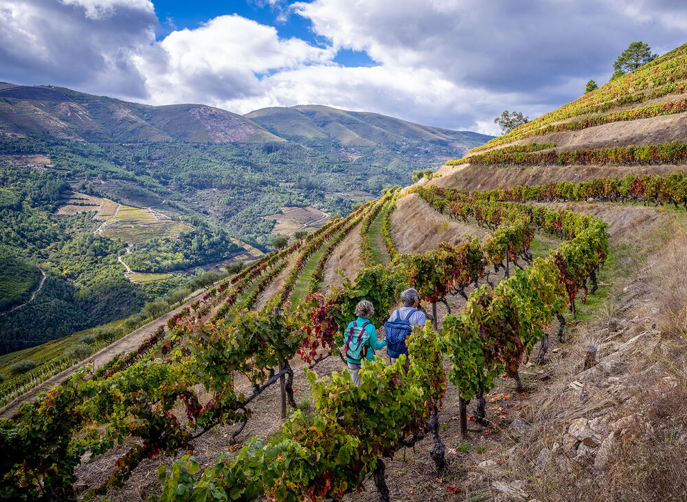 Portugal's Douro River Cruise Hiking & Walking Tour — Backroads