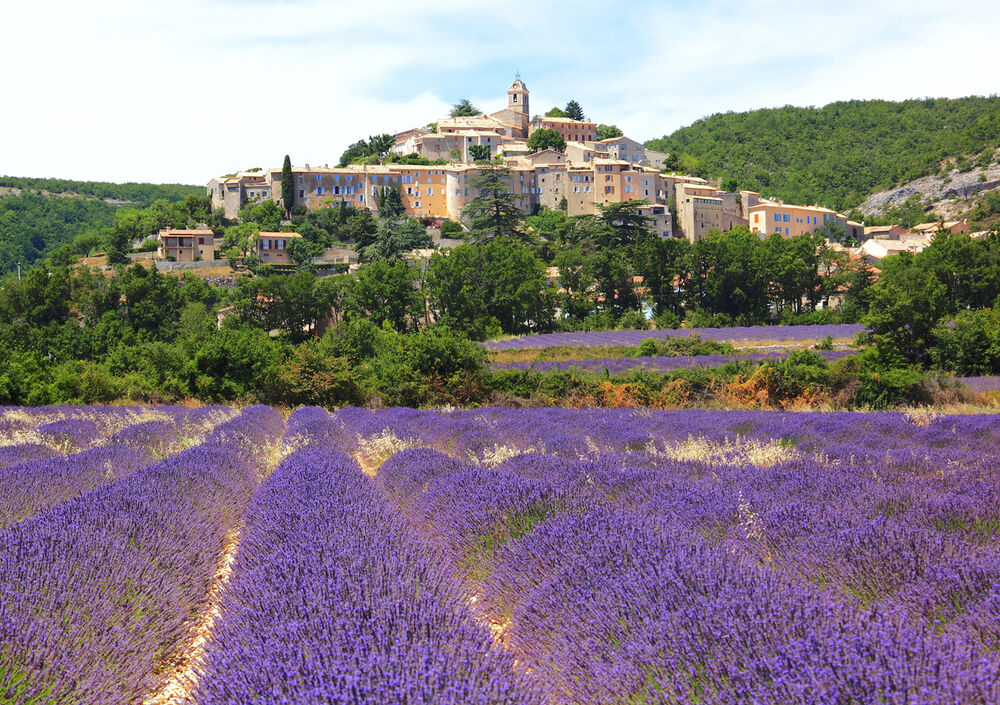Provence Luberon to Lavender Country Bike Tour — Backroads