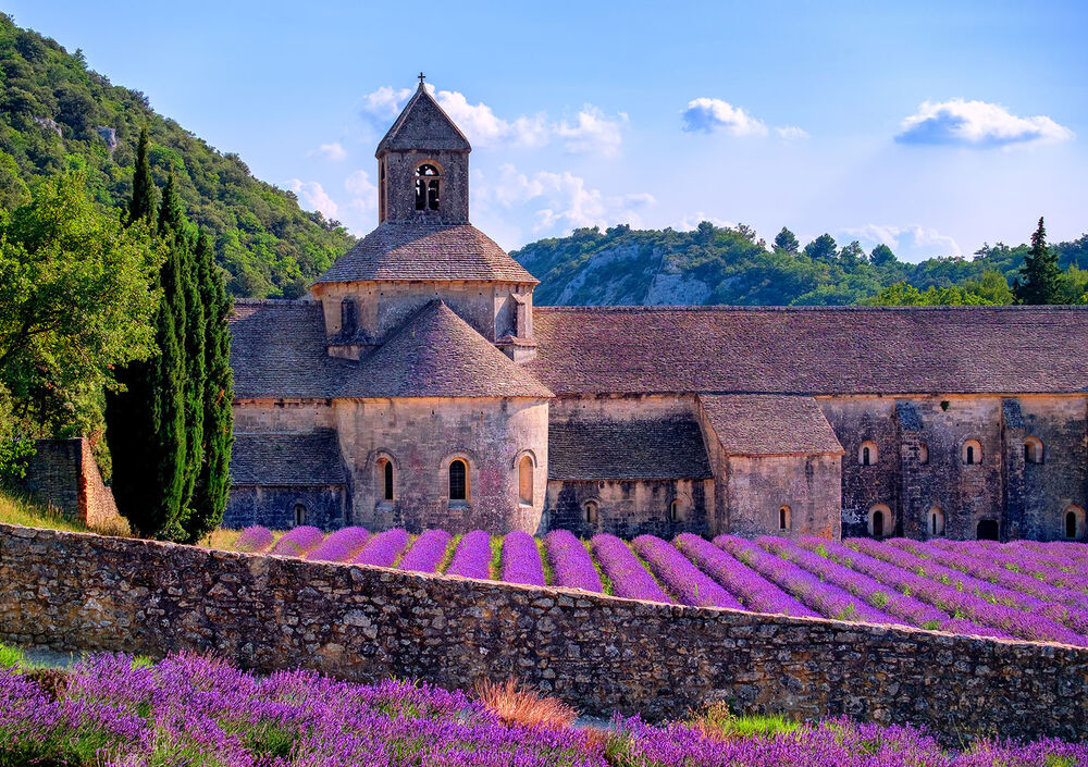 Provence Luberon to Lavender Country Easygoing E-bike Tour — Backroads