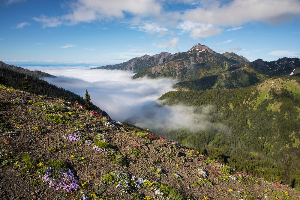 Olympic Peninsula to British Columbia Hiking & Walking Tour — Backroads
