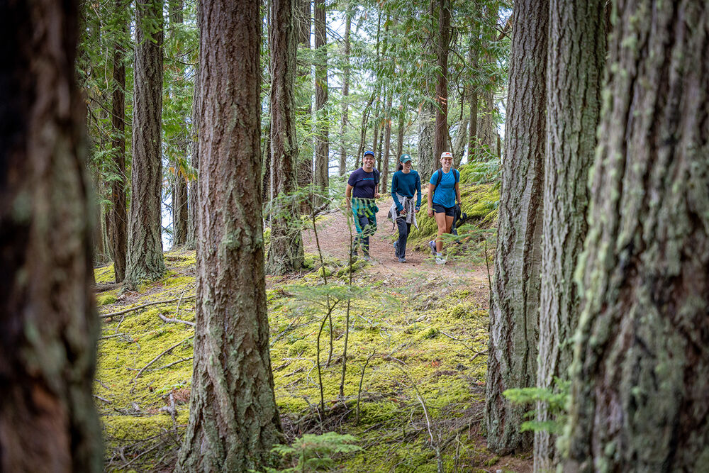 San Juan Islands to Olympic National Park Family Multi-Adventure Tour — Backroads