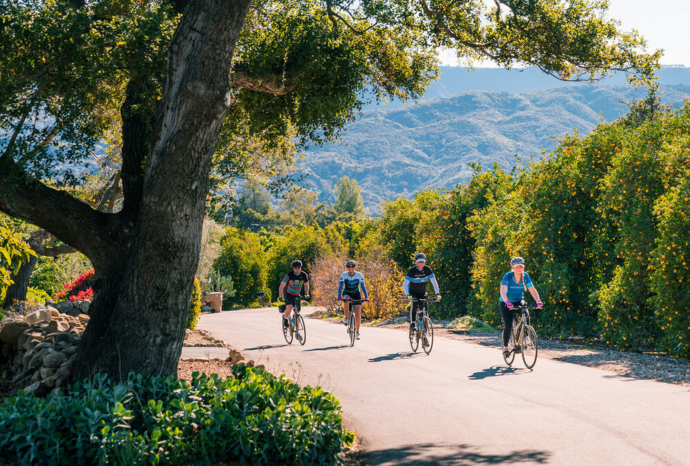 Santa Barbara to Ojai Bike Tour — Backroads