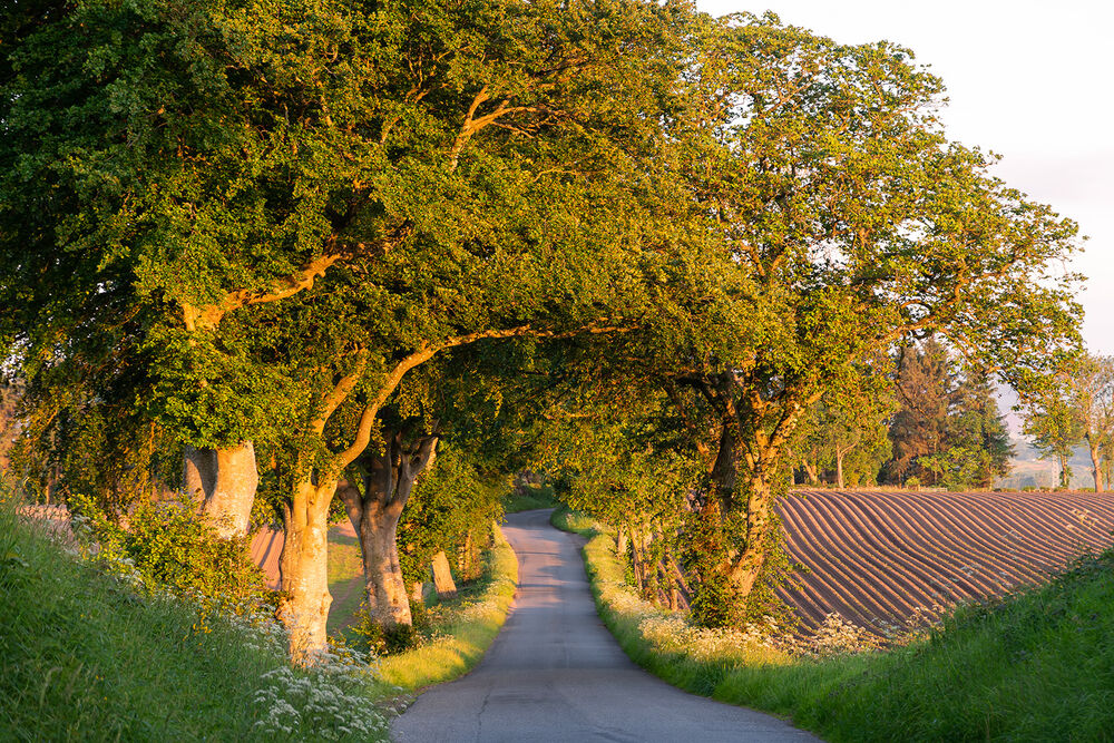 Scotland Family Bike Tour — Backroads