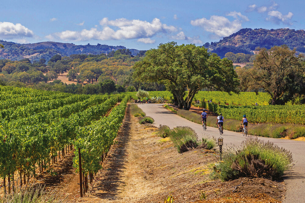 Sonoma Wine Country Bike Tour - Weekend Getaway — Backroads