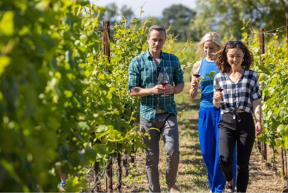 Bordeaux & Dordogne Active Culinary Walking Tour — Backroads