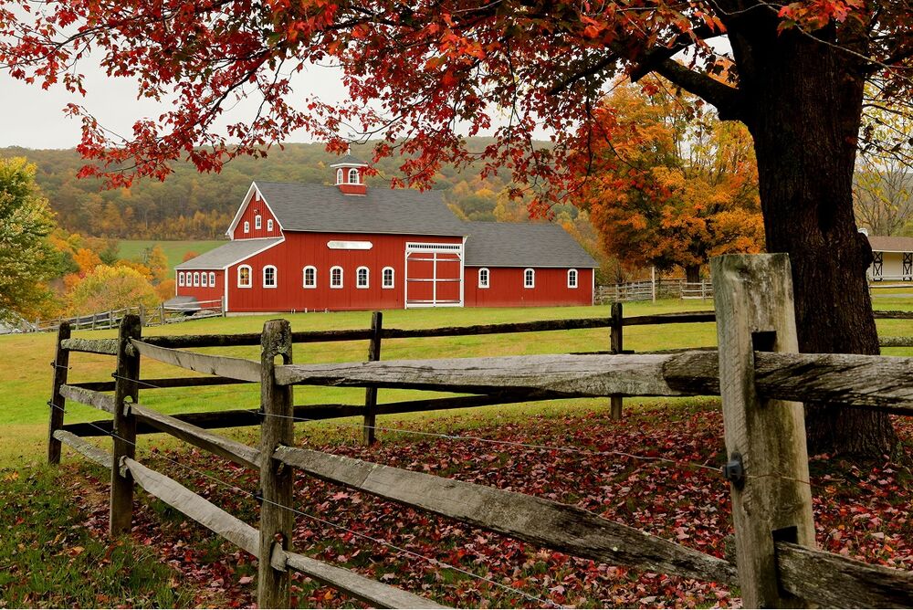 Vermont Hiking & Walking Tour — Backroads