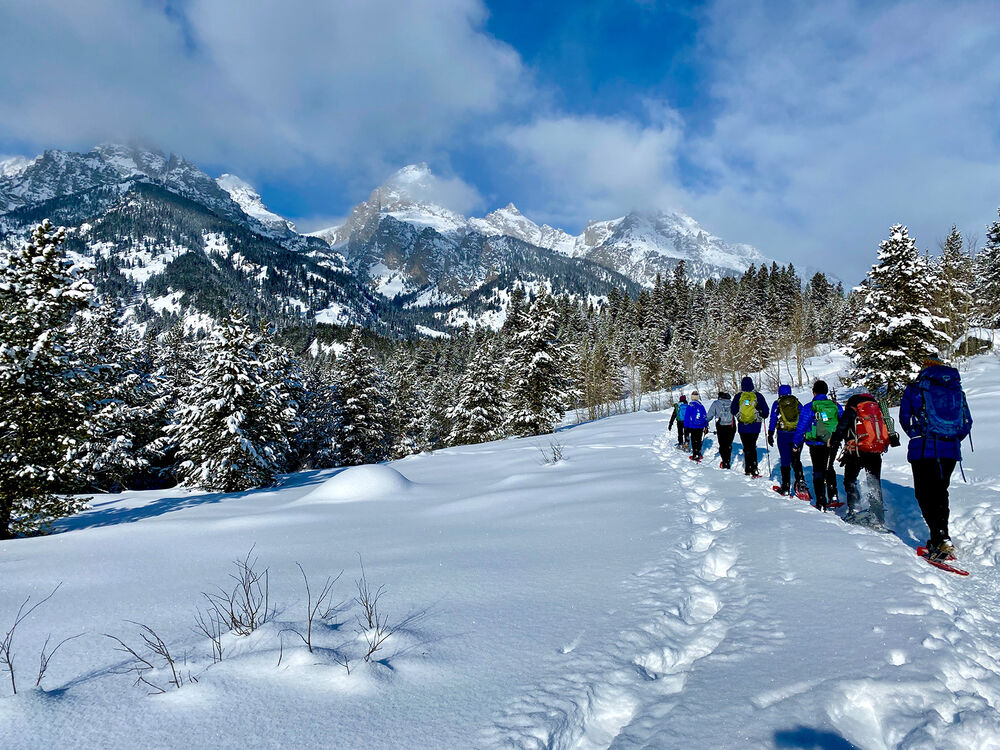 Yellowstone & Tetons Snow Adventure Tour — Backroads
