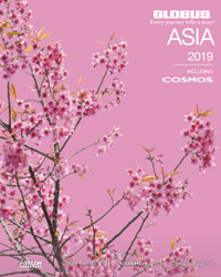 China & Asia (brochure cover)