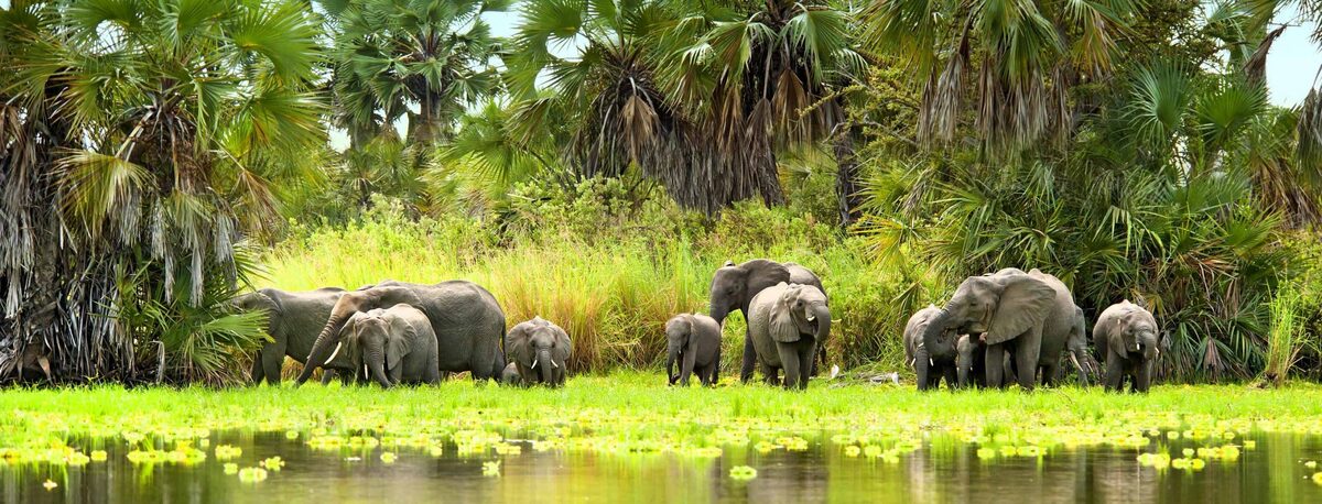 Botswana’s Timeless Wilderness — Micato Safaris