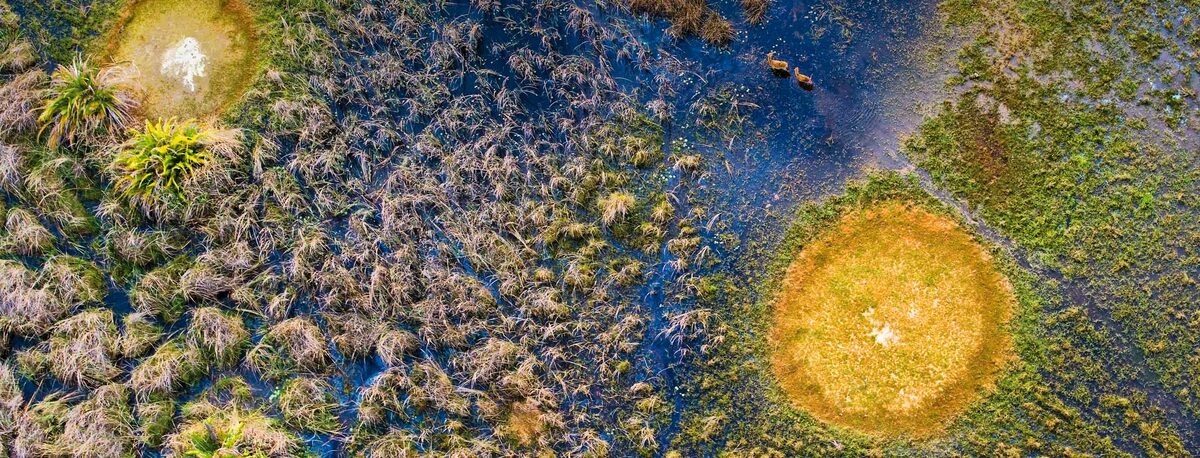 Passage Through Botswana and Zimbabwe — Micato Safaris