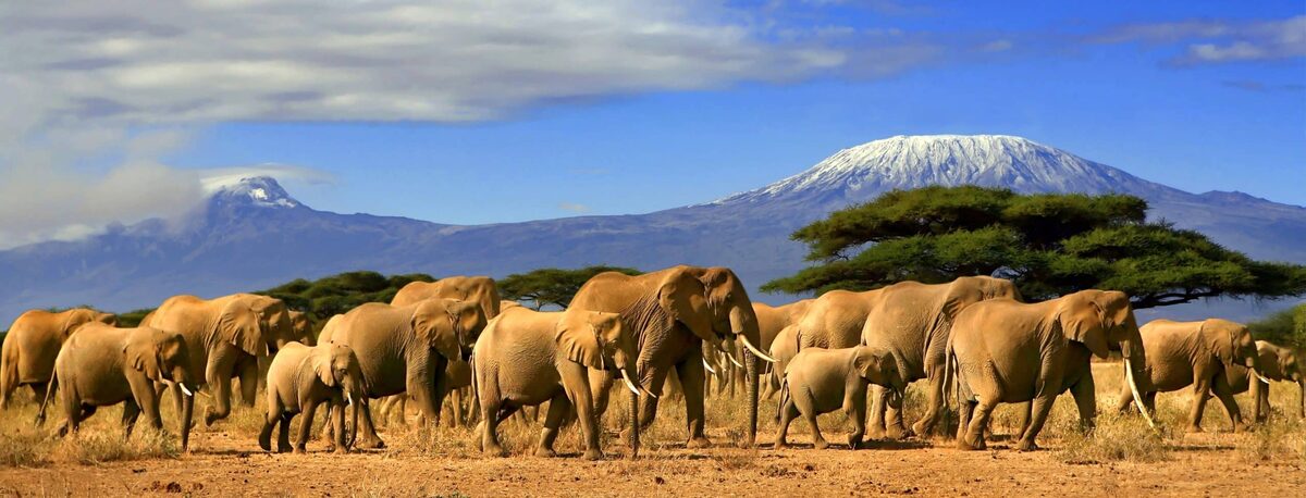 Private Kenya Safari — Micato Safaris