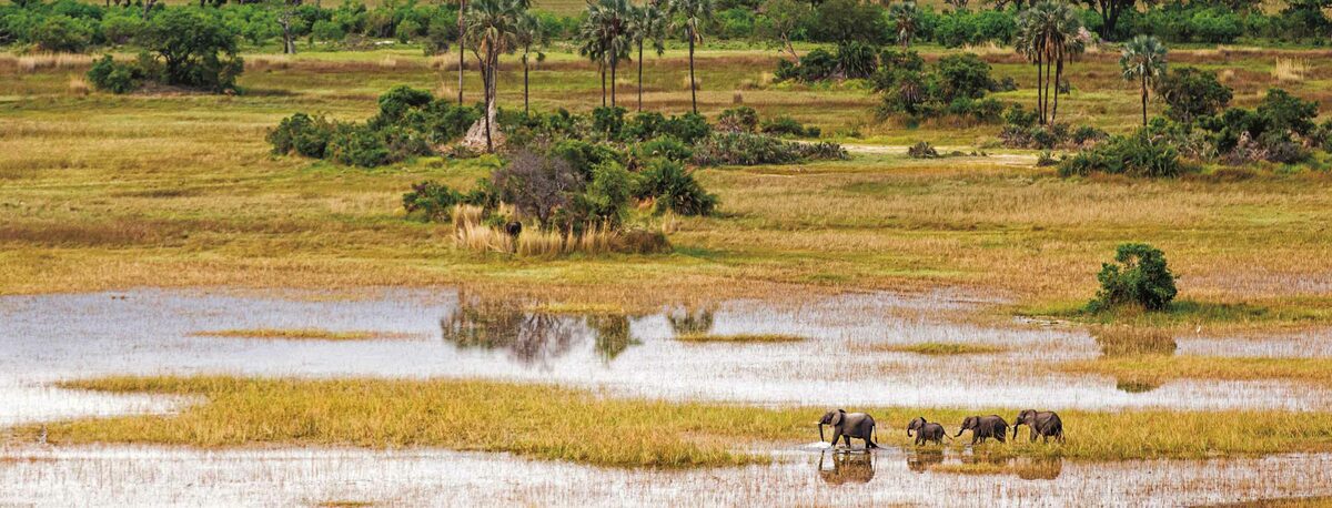 The Hemingway Wing Safari — Micato Safaris