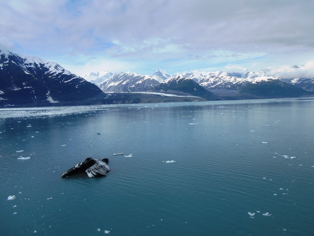 Alaska Inside Passage cruise glacier