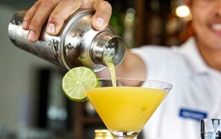 Planning future travel