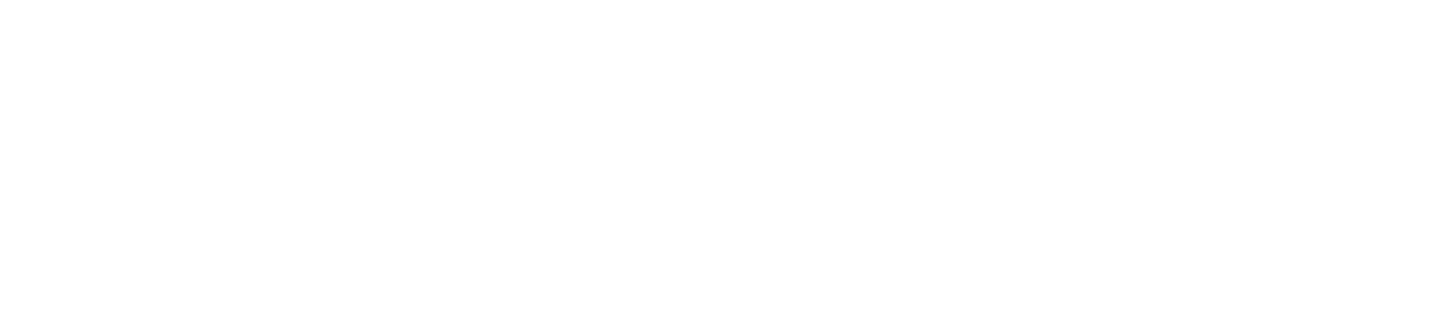 Pavlus Travel