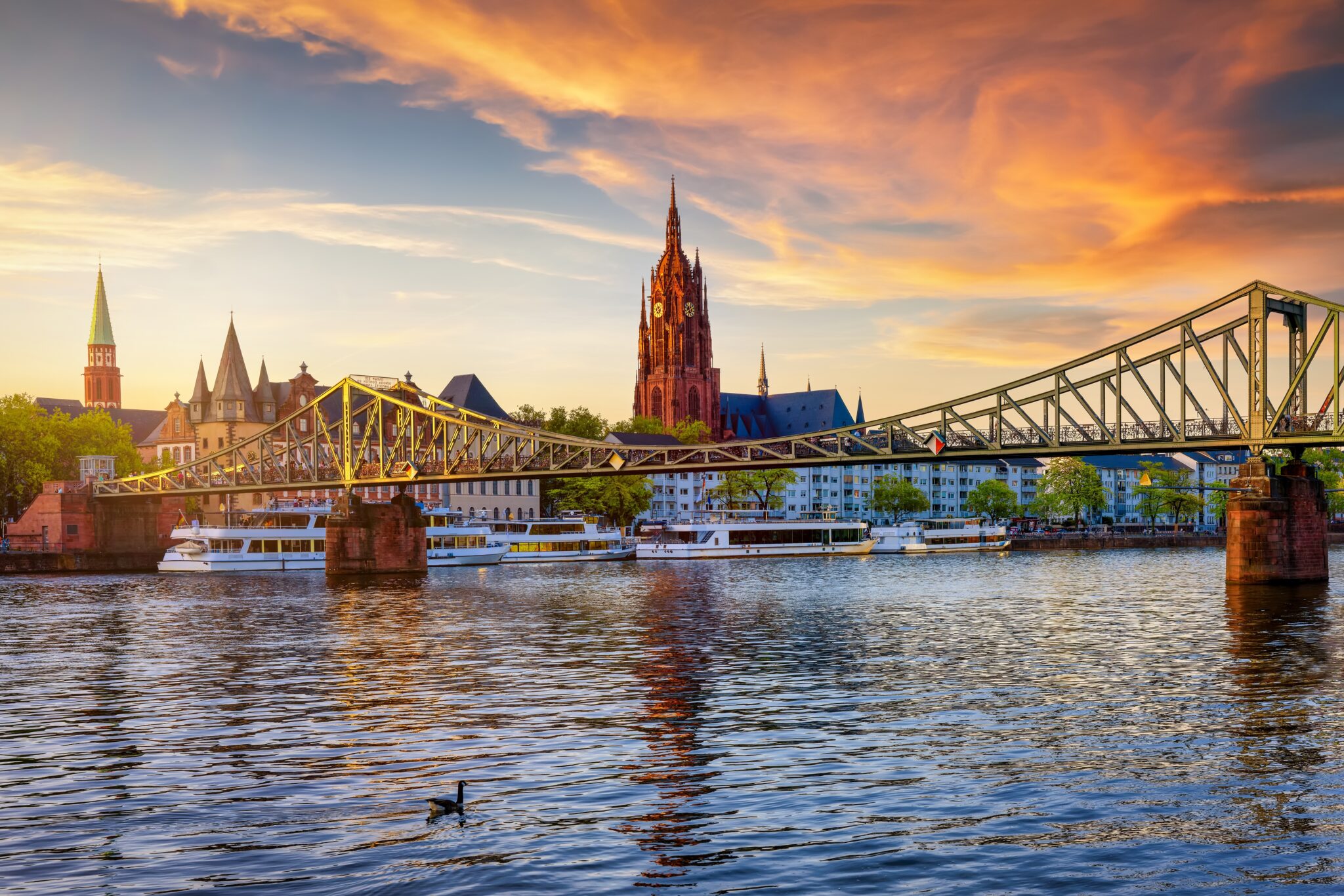 Main River Cruises