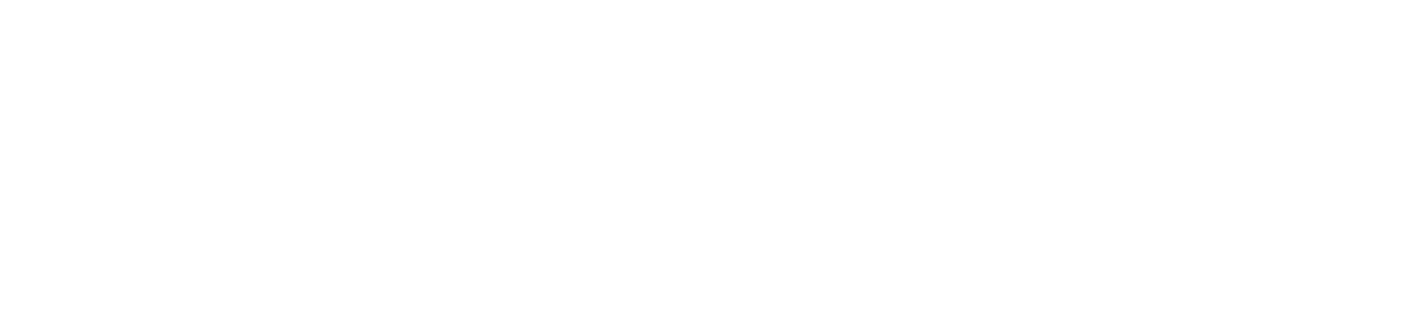 Pavlus Travel